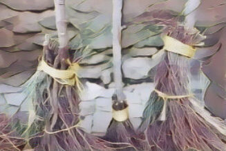 Witch’s Broom