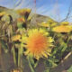 Dandelion (taraxacum officinale)