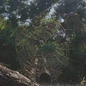 A Life with Natural Magick