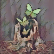 Spiritual Forgiveness