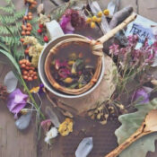 Introduction to Aromatherapy
