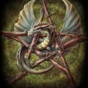 Riding the Dragon