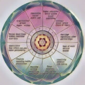 The Houses and the Ascendant