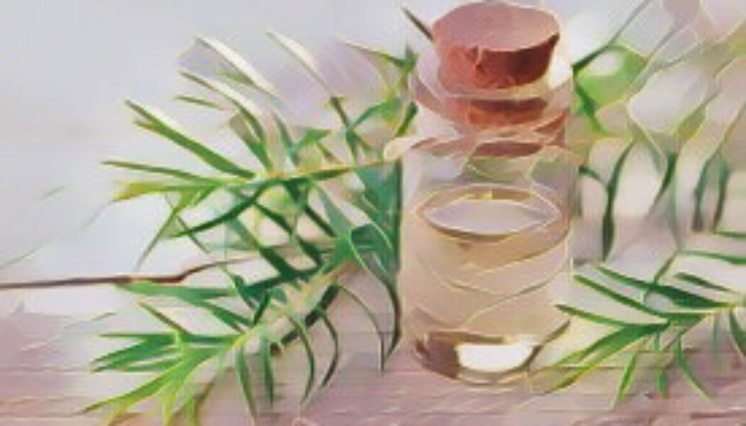The healing power of Tea Tree Oil