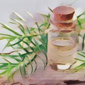 The healing power of Tea Tree Oil