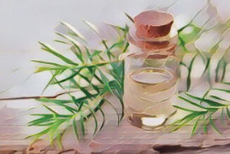 The healing power of Tea Tree Oil
