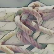 WIND MAGICK: Weaving the Breeze.