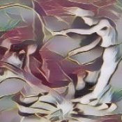 Fairies and the Witchhunts