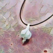 GARLIC PROTECTION CHARM