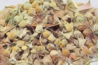 Herbal Cures for anxiety: CHAMOMILE
