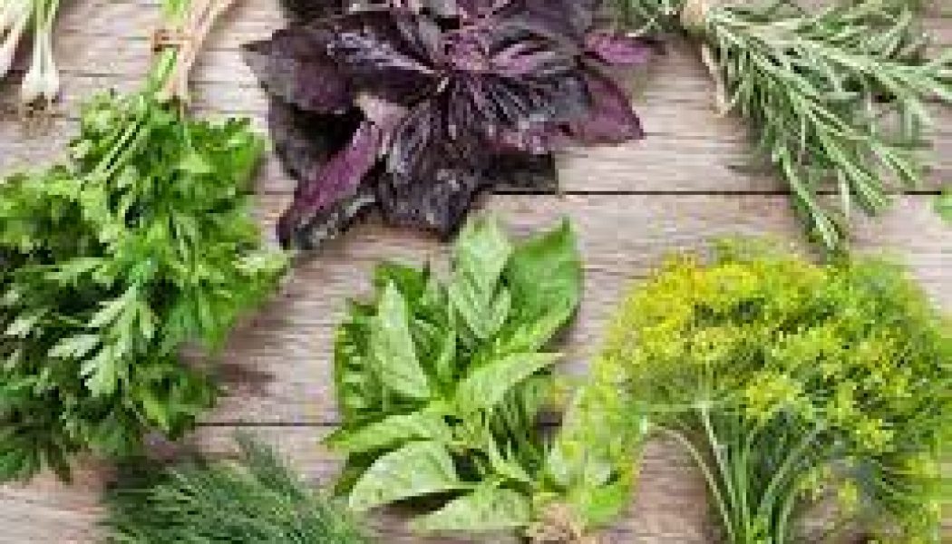 Herbs Listed by Medical Symptom