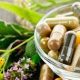 Herbs Versus Pharmaceutical Drugs