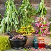 Herbs for Medical Symptom