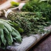 Powerful Healing Herbs in Your Kitchen