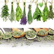 Ratio of Fresh Herbs to Dry Herbs