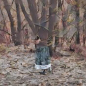 The Hedge – Physical Boundaries