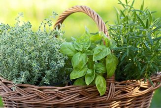 Easy To Find Ingredients