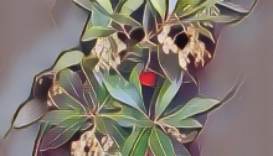 Arbutus: The Magick of