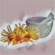 Arnica: the Magick of