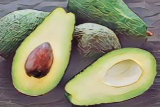 Avocado Fruit