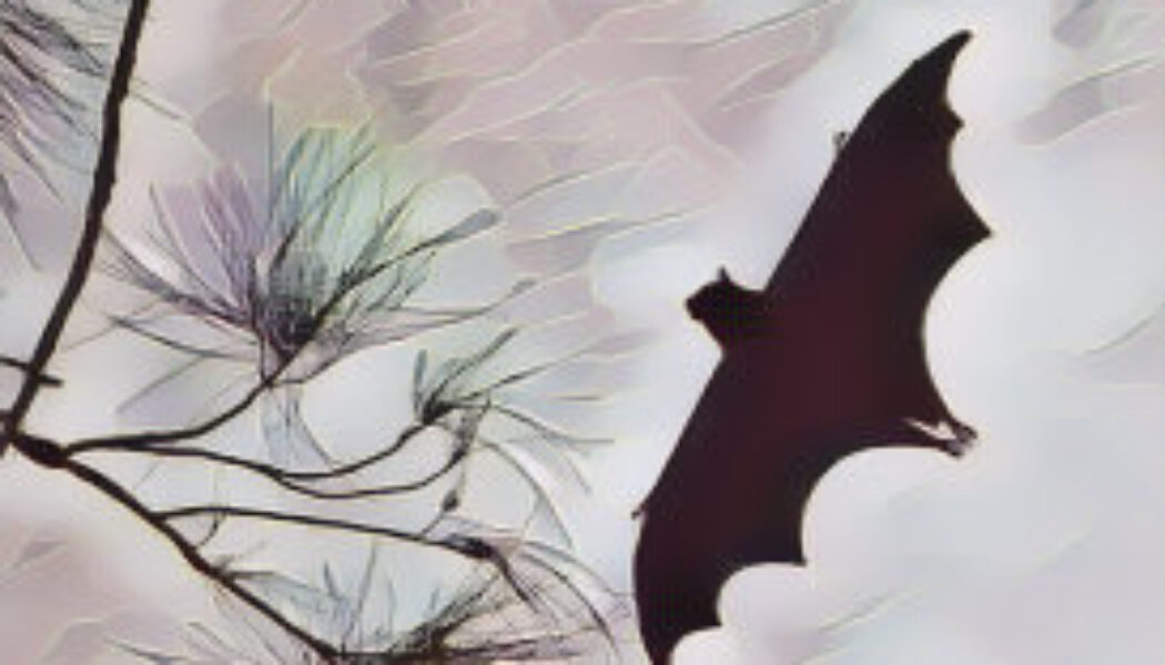 Bat Dreams