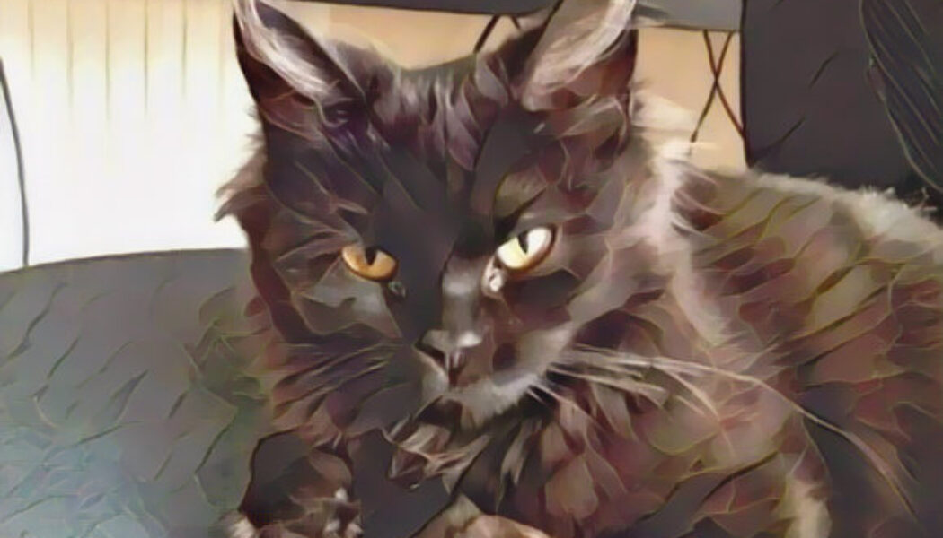 Are Black Cats Incarnations of Satan