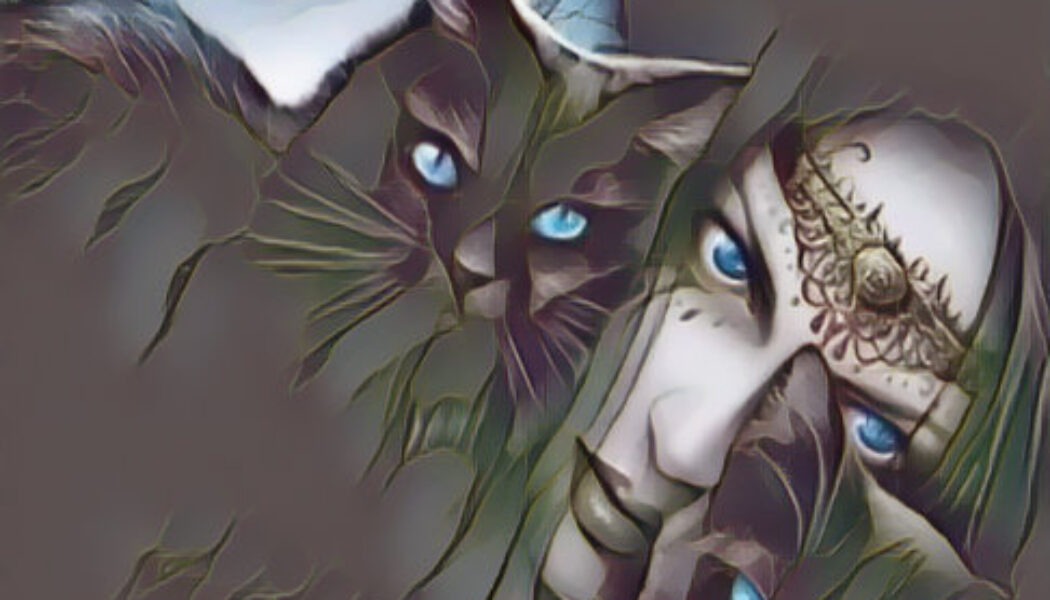 Black Cats and Witches