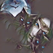 Black Cats and Witches
