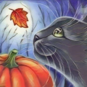 Black cat folklore, superstition, and mythology