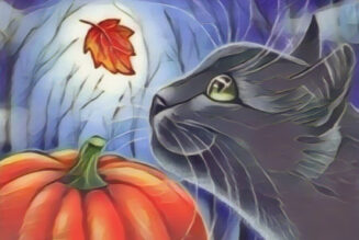 Black cat folklore, superstition, and mythology