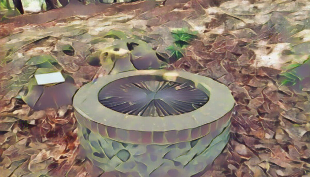 St. Frideswide’s well