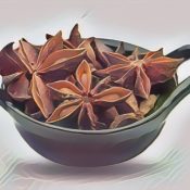 Anise -Herbs of the Kitchen Witch