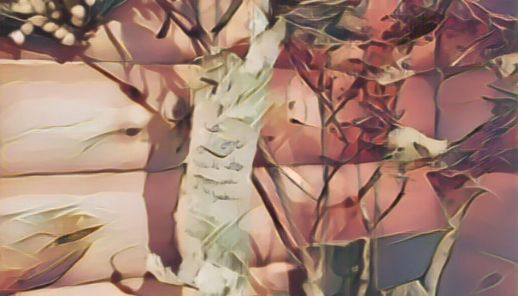 Birch Message of Love