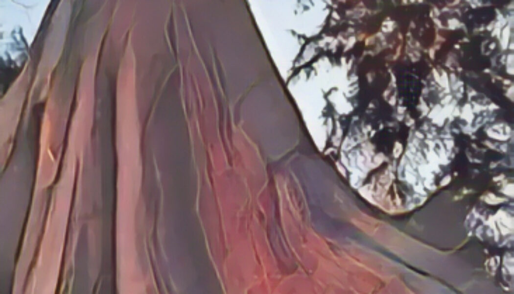 Cedar Wood the Magick of