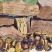 Golden Brown Tiger Eye