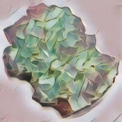 Green Apophyllite