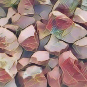 Red Jasper Stone