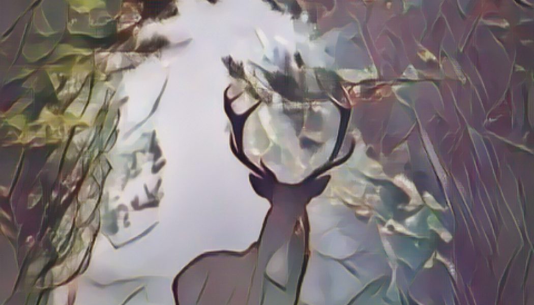 Divinity Disguise