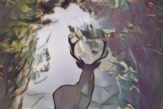 Divinity Disguise