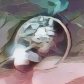 Death and Resurrection in Pluto