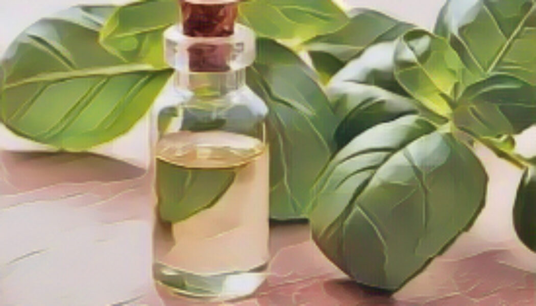 Essential Oil Benefits: Basil