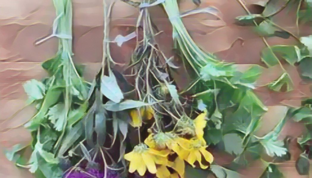 Kitchen Herbal Flowers