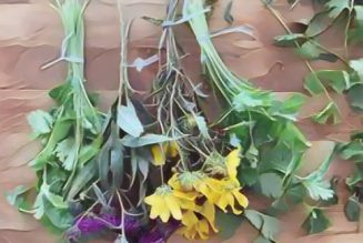 Kitchen Herbal Flowers