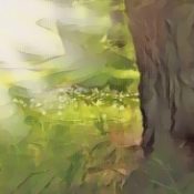 Spell to Heal the Earth