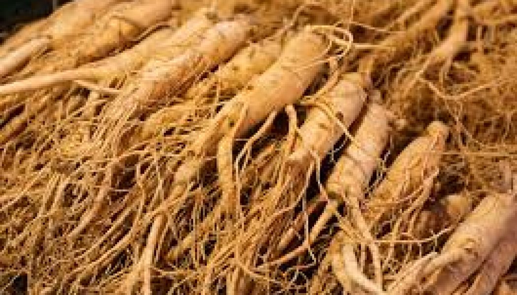 Ginseng