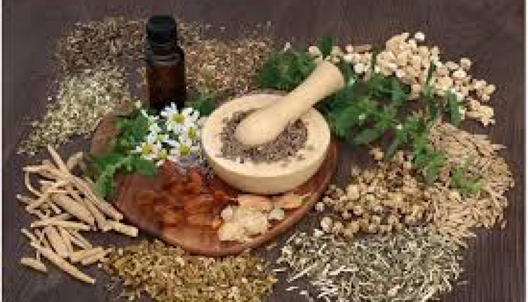 The uses of Herbs Healing