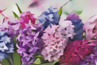 Hyacinth: Herbs Associated with Dream Magick