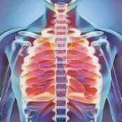 Folk Medicine and Remedies Colds – bronchitis