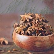 Medicinal Uses For Common Culinary Spices, ANISE.