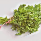 Medicinal Uses For Common Culinary Spices, CHERVIL.